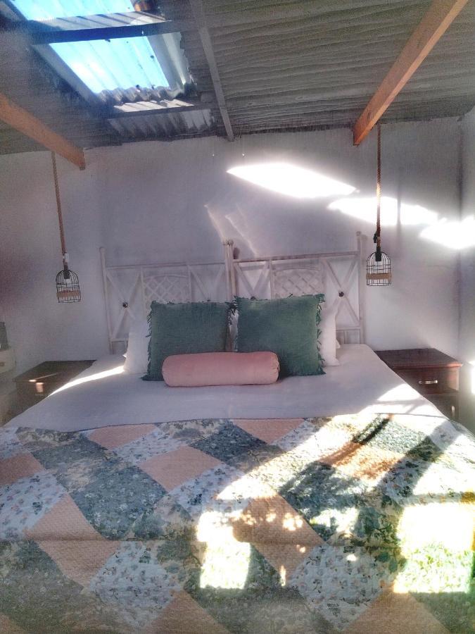 Homesweethome: Cozy Tiny 넬스프리트 외부 사진